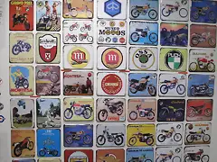IMG_1532 IMG_1532