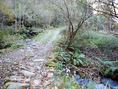 DSCN9674 DSCN9674