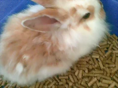 Reini  2 meses