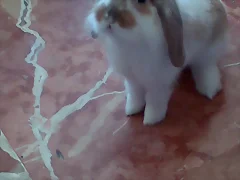 adolescente  5 meses