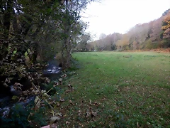 DSCN0570 DSCN0570
