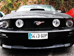 P3220331 P3220331