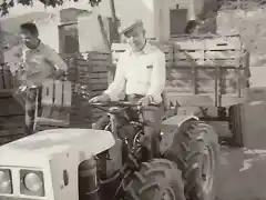Transportando uva en el tractor