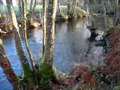 DSCN2077 DSCN2077