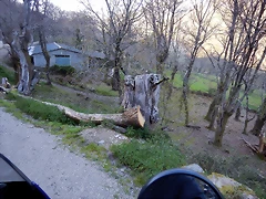 DSCN9098 DSCN9098