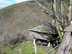 DSCN7794 DSCN7794