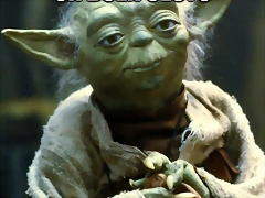 Yoda Jorgenson