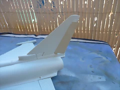 P1030553 P1030553