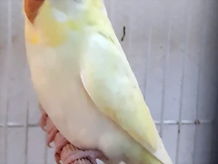 20191230_141009