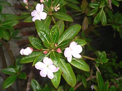SAM_1304 SAM_1304