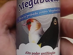 IMAG1739