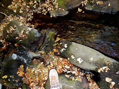 DSCN7872 DSCN7872
