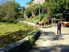 DSCN0020 DSCN0020