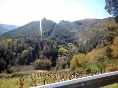 DSCN5031 DSCN5031