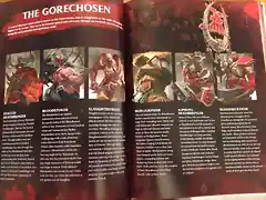 thegorechosen