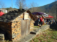 DSCN0206 DSCN0206