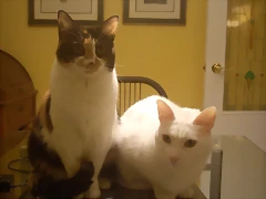 DSC00002