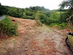 DSCN4532 DSCN4532