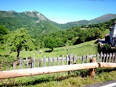 DSCN6795 DSCN6795