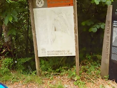 DSCN1359 DSCN1359