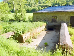 DSCN2418 DSCN2418