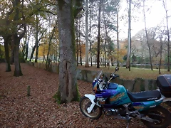 DSCN0751 DSCN0751