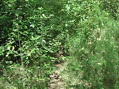 PICT0070