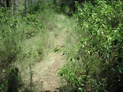 PICT0071