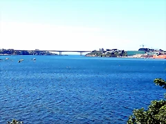 DSCN6591