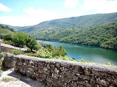 DSCN7804 DSCN7804