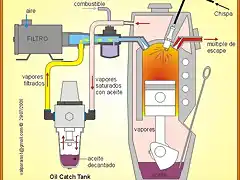 OILCATCHHermit