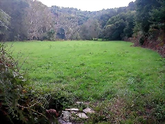 DSCN5287 DSCN5287