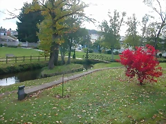 DSCN6221