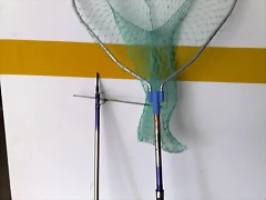 01082010589 01082010589