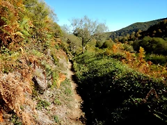 DSCN8045 DSCN8045