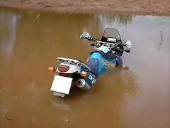 africa ahogada-1