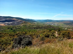 DSCN0973