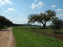 Sierra Hornachuelos, Paraje