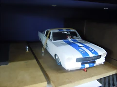 DSCN3052 DSCN3052