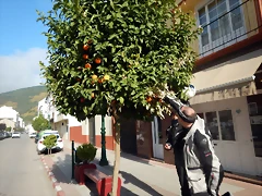 DSCN2493 DSCN2493
