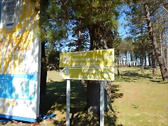 DSCN0117 DSCN0117
