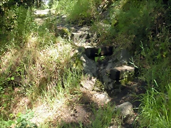 DSCN2844 DSCN2844