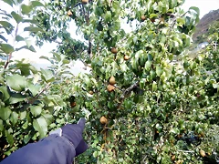 DSCN7024 DSCN7024