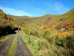 DSCN1336 DSCN1336
