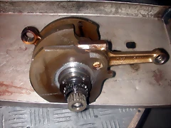 DSCN0198 DSCN0198