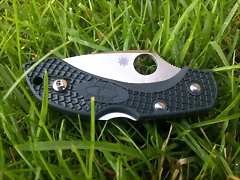 spyderco dragonfly 2 ZDP