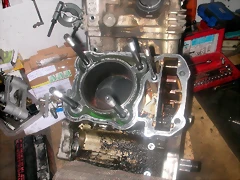 DSCN0179 DSCN0179