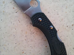 spyderco dragonfly 2 ZDP