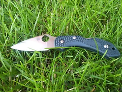 spyderco dragonfly 2 ZDP