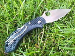 spyderco dragonfly 2 ZDP